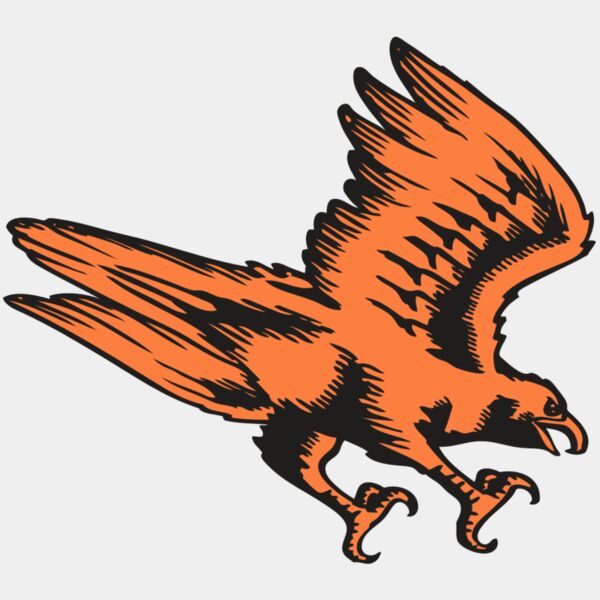 BAW HWK FLCN 04 RC Thumbnail