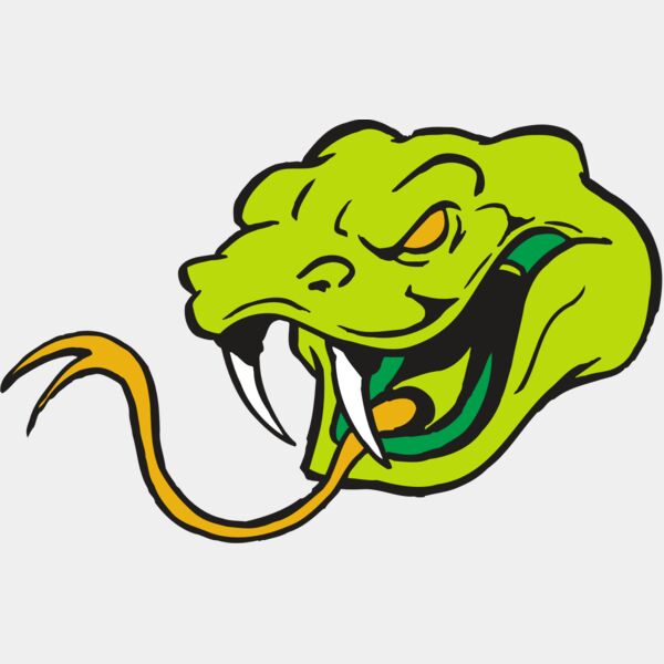 AR SNAKE 11 RC Thumbnail