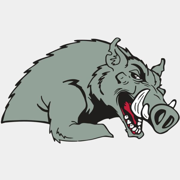 AR RAZORBACK 14 RC Thumbnail