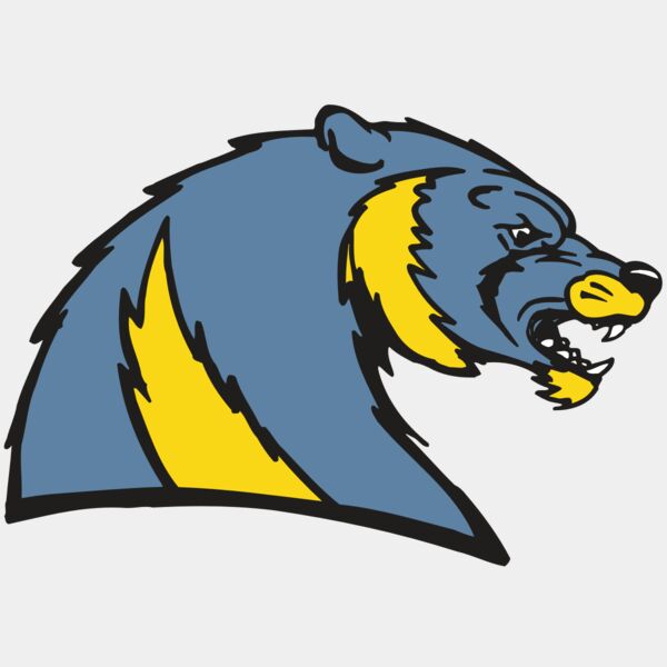 AR5 Wolverine 20 RQC Thumbnail