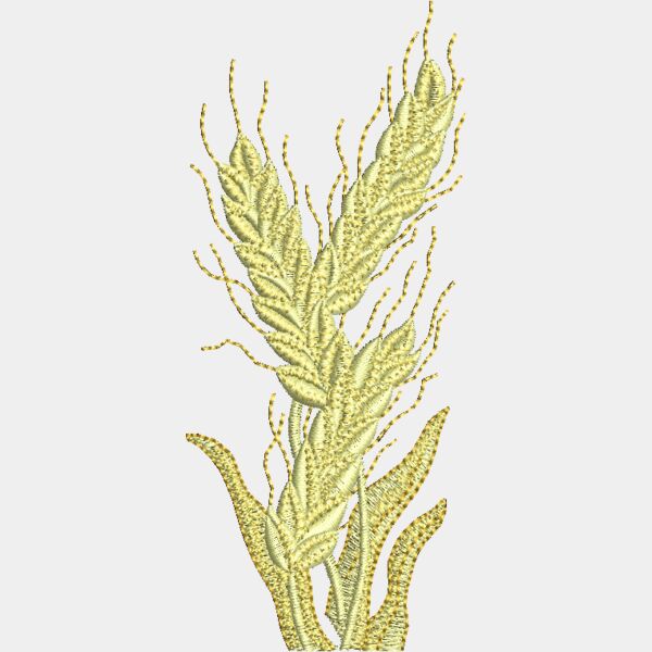 FM726 Thumbnail