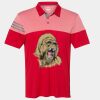 Men's Heathered 3-Stripes Colorblocked Polo Thumbnail