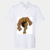 Cotton Blend Polo Thumbnail