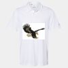 Cotton Blend Polo Thumbnail
