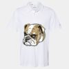 Cotton Blend Polo Thumbnail