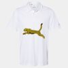 Cotton Blend Polo Thumbnail