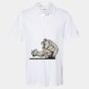 Cotton Blend Polo Thumbnail