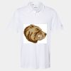 Cotton Blend Polo Thumbnail