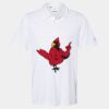 Cotton Blend Polo Thumbnail