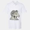 Cotton Blend Polo Thumbnail