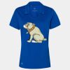 Women's Cotton Blend Polo Thumbnail